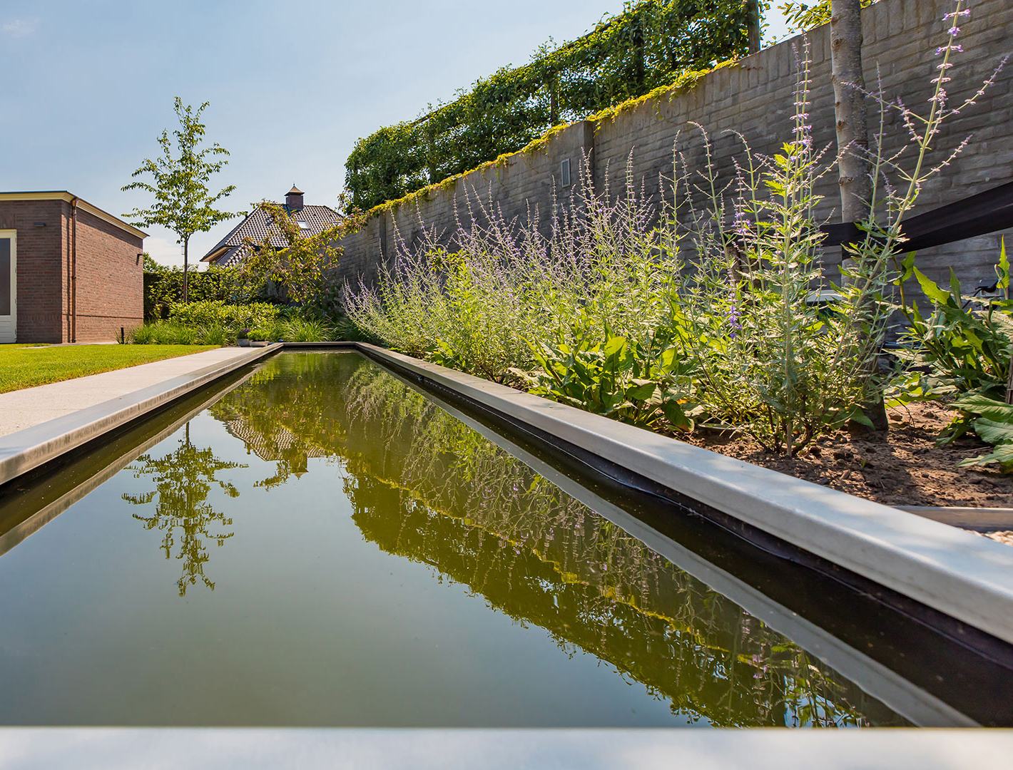 Ontworpen vijver met een border van vaste planten